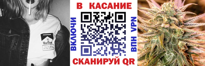 Где можно купить наркотики Светлогорск Псилоцибиновые грибы  СК  Амфетамин  КЕТАМИН  Cocaine  Меф  ГАШ  Каннабис 