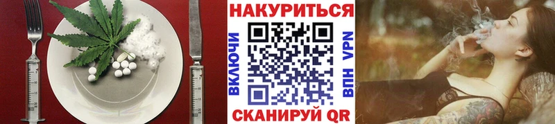 купить наркоту  KRAKEN ссылки  Canna-Cookies марихуана  Светлогорск 