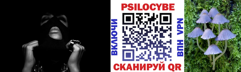 закладка  гидра рабочий сайт  Псилоцибиновые грибы мухоморы  Светлогорск 